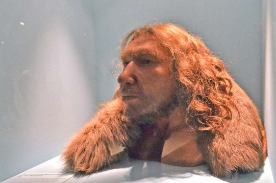 900-A-L-recostruzione-neanderthal-originale-DSC_3603