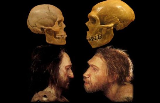 confronto-sapiens-neanderthal